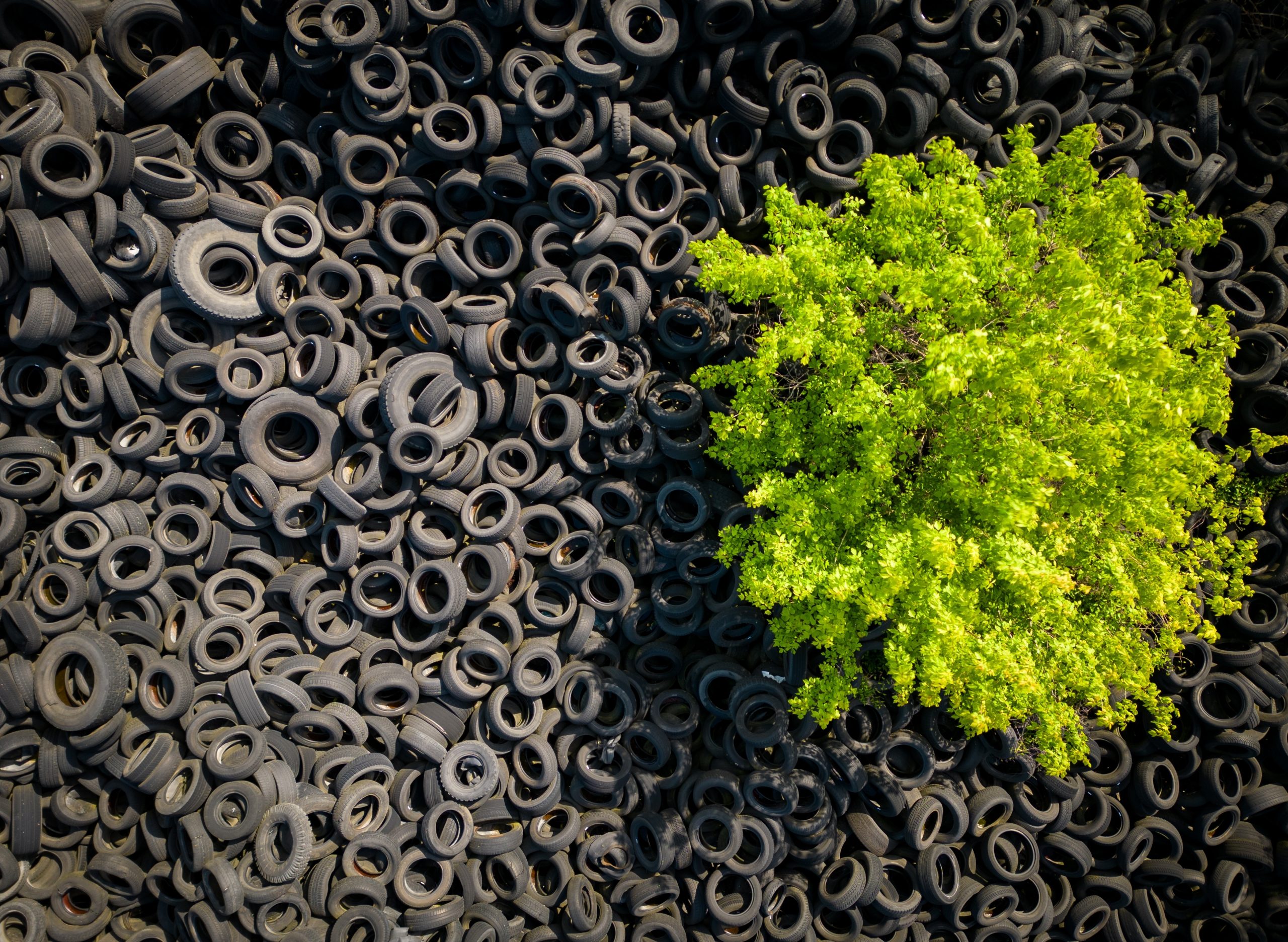 shutterstock_2302176767-scaled shutterstock_2302176767-scaled